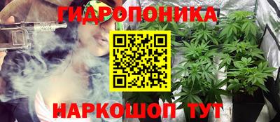 не бодяженный Сланцы