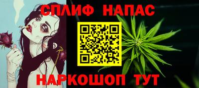 не бодяженный Сланцы